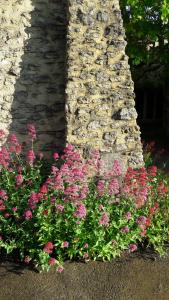 Maisons de vacances Gite Aux Tournesols : photos des chambres