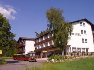 2 hvězdičkový hotel Hotel Igel Püchersreuth Německo