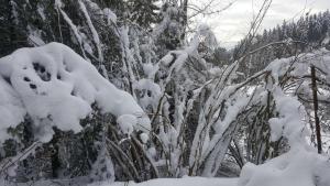 résidence vallée des lacs