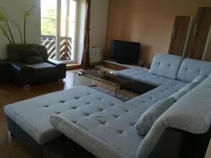 Apartament Apartmány Lipno-1 Lipno nad Vltavou Czechy