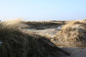 Chata Düne 11 Sankt Peter-Ording Německo