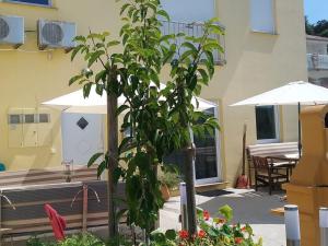 Waldeck Apartment 1 