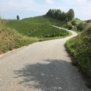 Ferienwohnung Peklar
