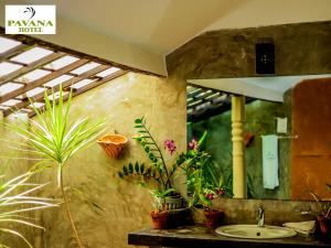 Pavana Hotel