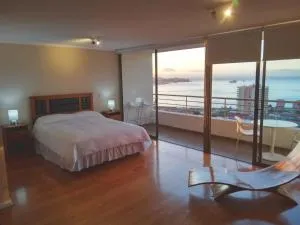 Alluring View at Valparaiso departamento - 瓦尔帕莱索