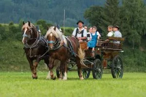 Bauernhof Kotz - Rettenbach am Auerberg