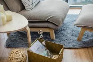 Chengdu Chenghua·Giant Panda Breeding Base Locals Apartment 00149350 - Chengdú