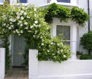 Hurlingham Bed and Breakfast - London