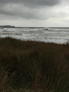 Ferienhaus "Zur Sprotte" in Glowe