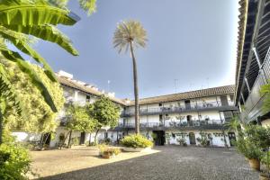 Un Oasis en el Corazón de Sevilla