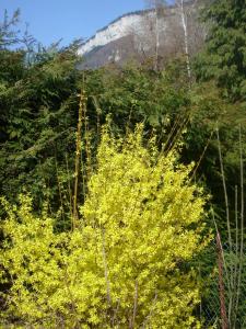 Gîte meublé Les Centaurées