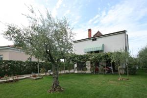 Apartments Bella Vista