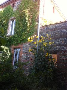 B&B / Chambres d'hotes Gentil'Home - Toulouse B&B Prestige : photos des chambres