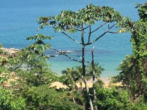 Propriedade a 80 metros da praia do Curral