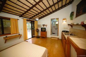 paradise surf lodge cabarete