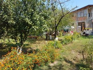 Holiday House Krapets