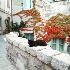 Locanda Li Manni img21