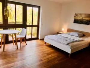 Modernes Studio im Herzen von Neustadt: PfalzLiebe - Neustadt an der Weinstraße