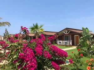 Sedir Park - Beach Bungalow - 卡吉柯克