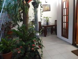 Aayus Guest