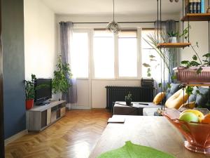 Sunny Downtown Apartment for 4
