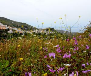 Artistic Dream House Kea Greece