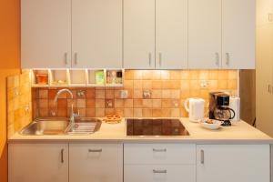 Chic Cosy Quiet in Ljubljana Center