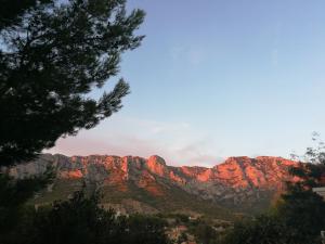 B&B / Chambres d'hotes petite maison dans le parc national des calanques : photos des chambres