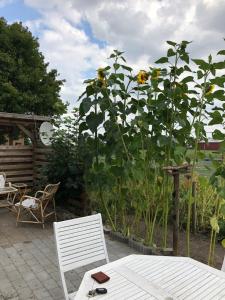 A Big Holidayhouse Rømø-Rim-Ribe