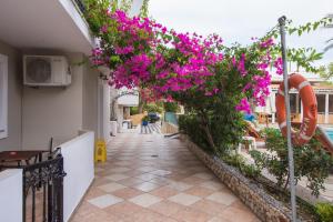 Iniohos Hotel Zante Zakynthos Greece