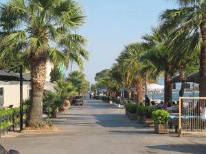 jasmine apartments Evia Greece
