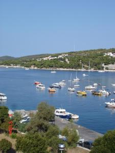 Comfort One-Bedroom Apartments with Terrace with Garden View room in Apartmani Katarina