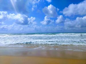 Ap 24 na Reserva Imbassaí