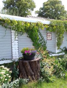 Ferienwohnung Nähe Altstadt