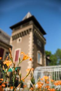 Chambres d'Hôtes Château de Viviez photo 9