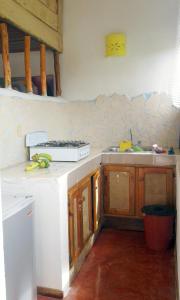 Hostel La Ballena Backpacker