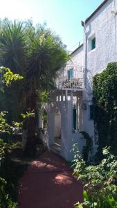 Manos Apartments Skopelos Greece