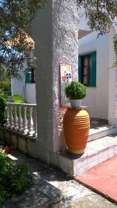 Manos Apartments Skopelos Greece