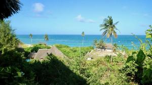 Mango Lodge MSAMBWENI