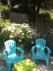 Fraises des bois