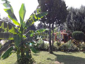 Palatinus Apartmanok