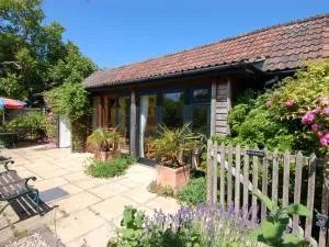 Sunnyside - Thorn Falcon