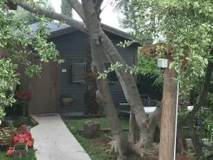 Hilltop Haven - HaZore‘im