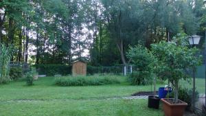 Hotel Sud Alsace photo 15
