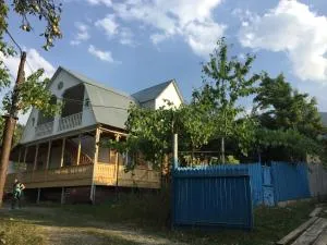 Мзетамзе 59 - Daba