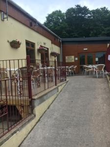 Scarlett Cabin Glan Gwna