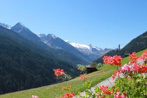 Ferienwohnung am Winterhaus