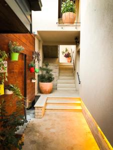 Rooms Kaktus 