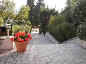 APARTMANI SENKA - VILLA OLIVER 