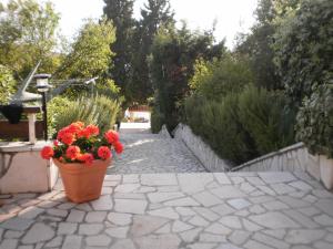 APARTMANI SENKA - VILLA OLIVER